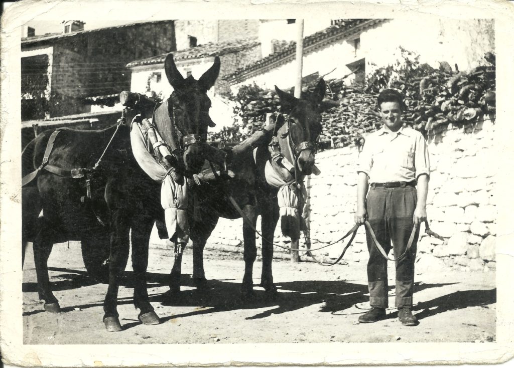 El Federal. José Ramos con los mulos y carro de cubas. 1965