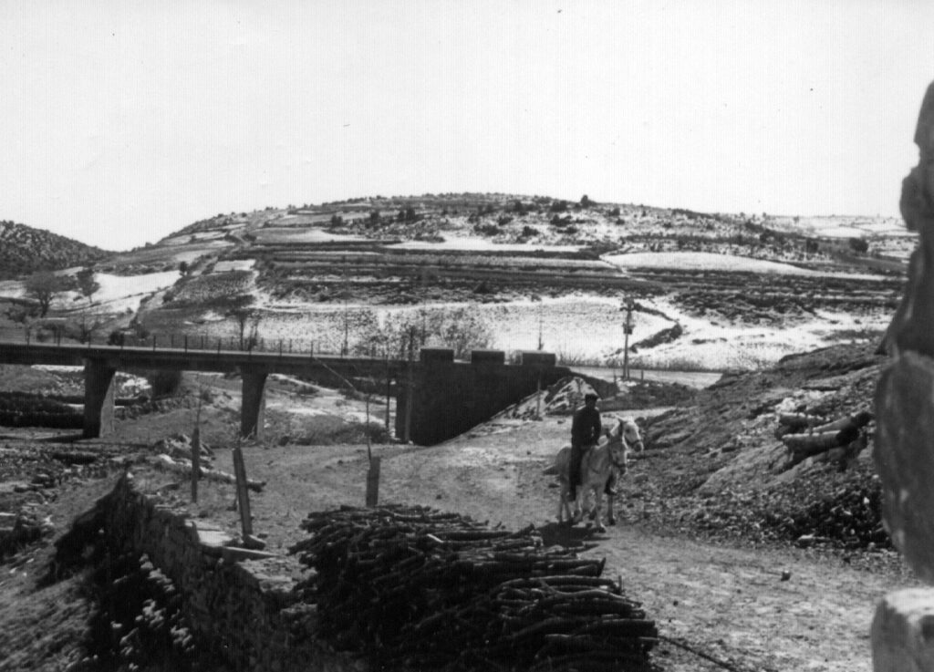 Entrada a Bezas, Tadeo montado en su macho tordillo, 1955