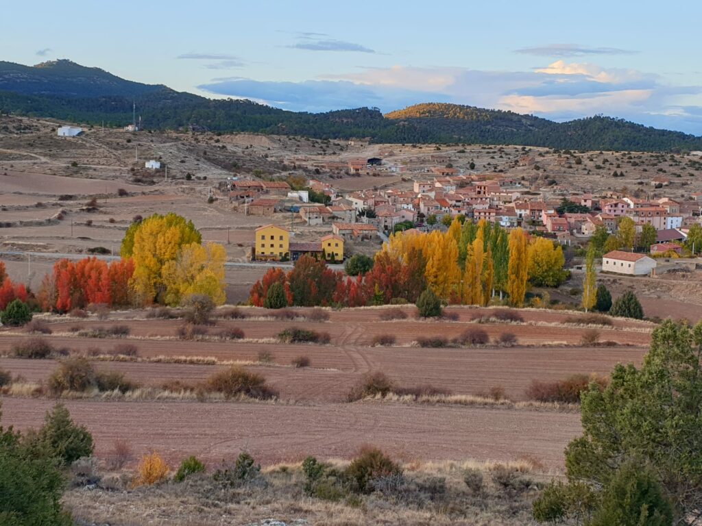 IMG-20201024-BezasFoto de Puri