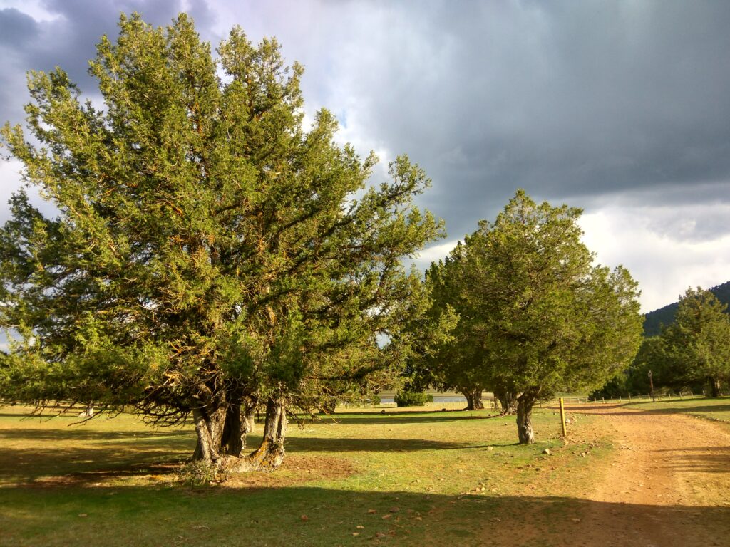 IMG_20170417_184127_HDR