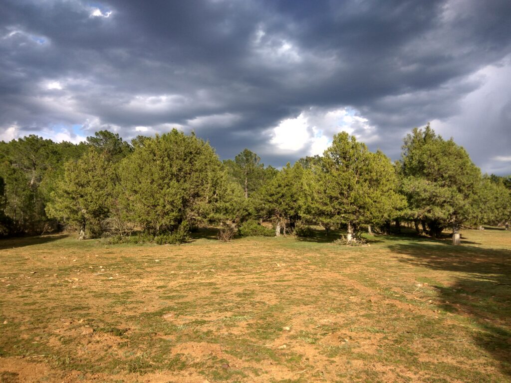 IMG_20170417_184133_HDR