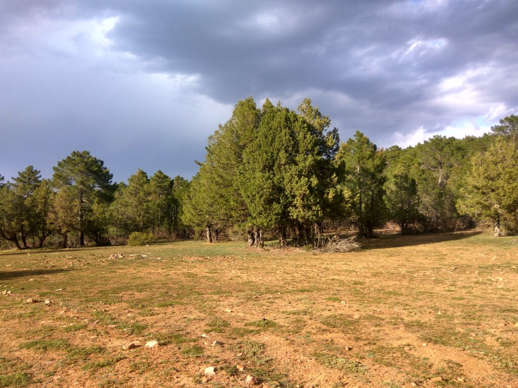 IMG_20170417_184142_HDR