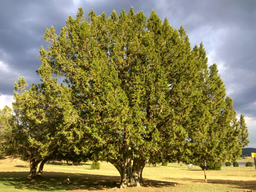 IMG_20170417_184256_HDR