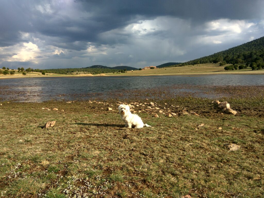 IMG_20170417_184733_HDR