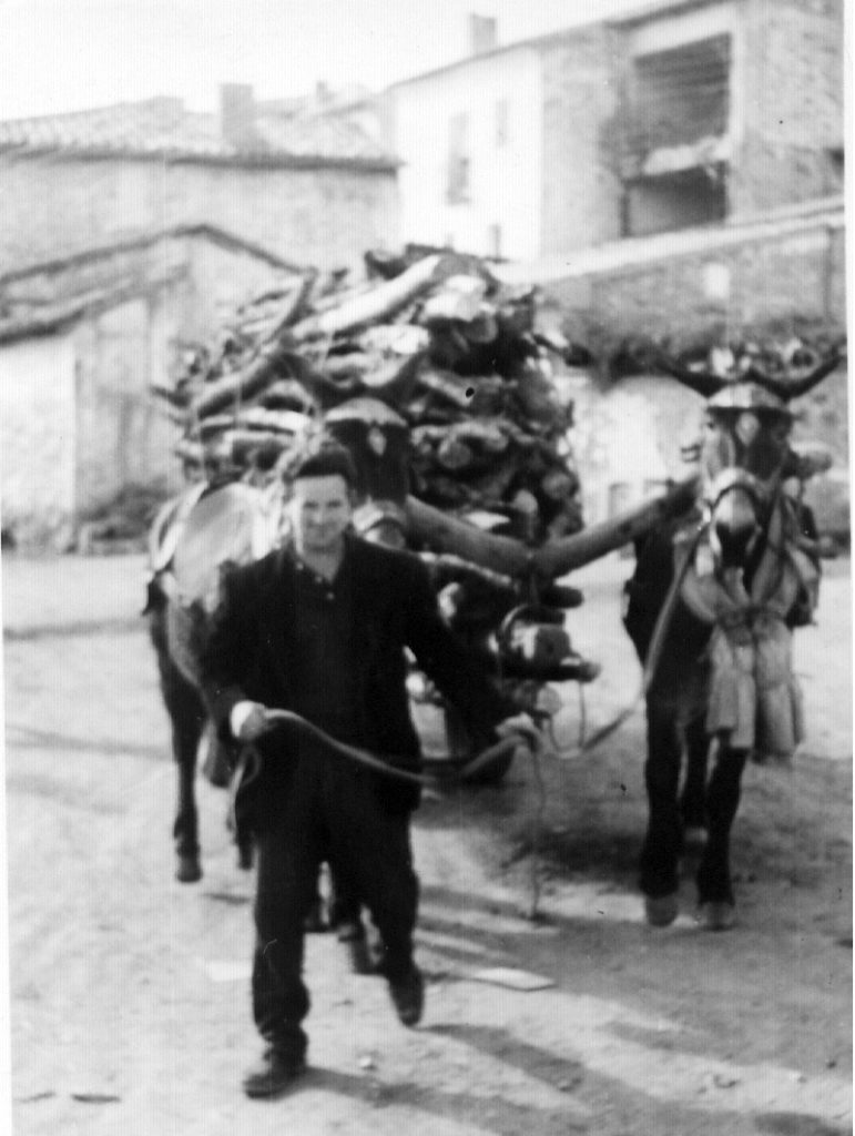 José Ramos acarreando leña