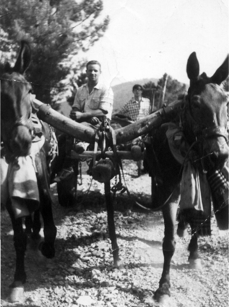 José Ramos, las mulas y el carro