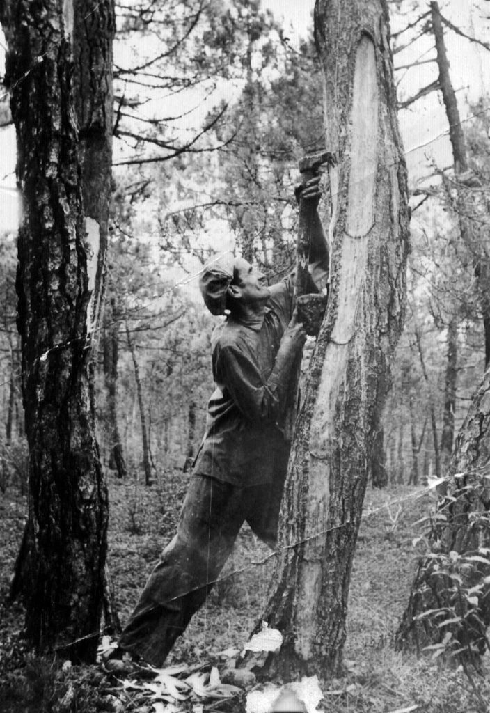 Marceliano Sánchez Picando. 1960, arranque importante de teas