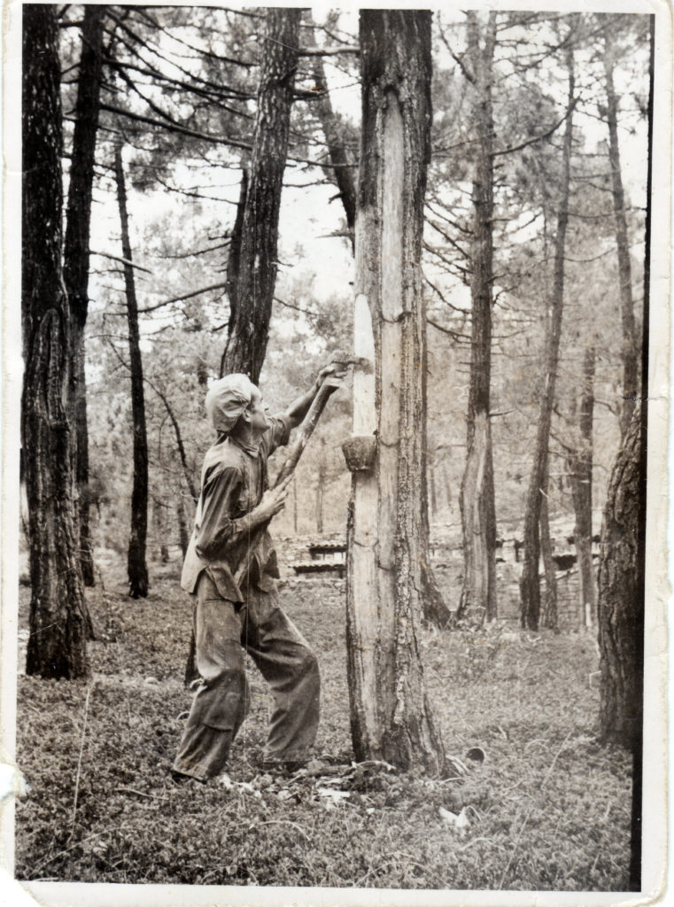 Marceliano Sánchez Picando1960